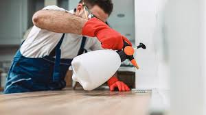 Best Pest Prevention Services  in Union, NJ